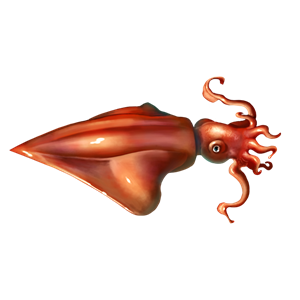 Squid PNG-47194